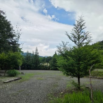 また道志村行ってきた(笑)【１】