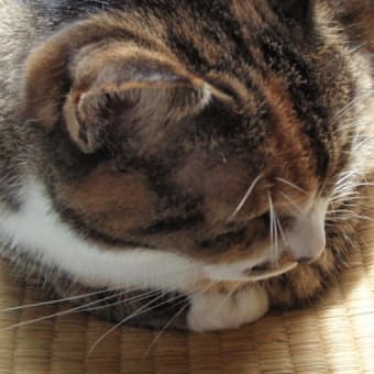 穏やかな一日