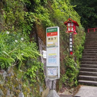 御朱印も人気！山薬近くの箱根神社｜箱根 自然薯の森 山薬