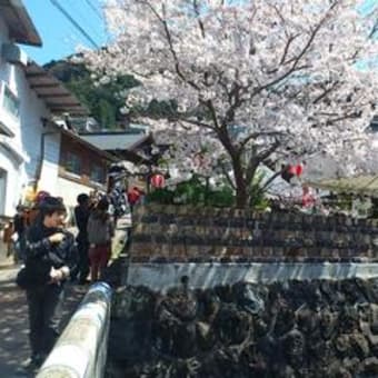 長崎県波佐見町の「桜陶祭（おうとうさい）」サプライズ体験！