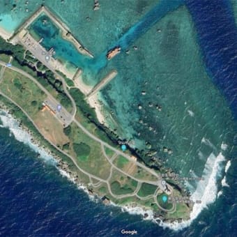 早春の南の島