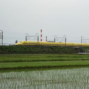 静岡県 in ドクターイエロー　２