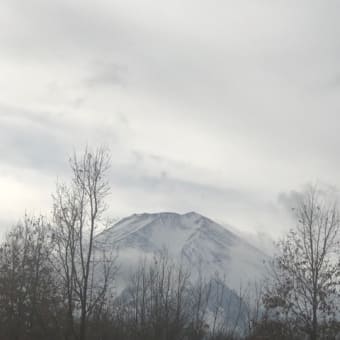 今日も富士山　ずっと富士山