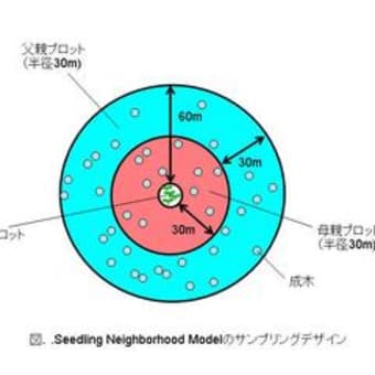 Burczyk et al. (2006) Genetics読解