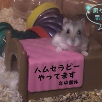 「皆さんに幸が届けられるように」って？