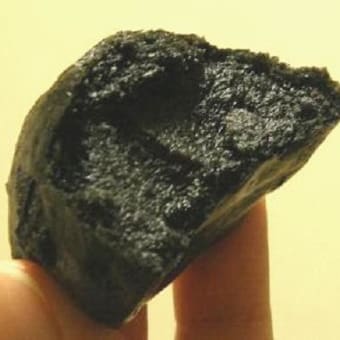 伊達のごま丸（仙台市）　：2008年09月27日の食べ歩記