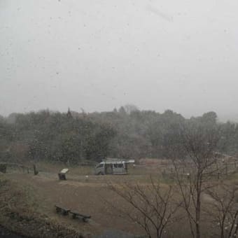 春は遠い吹雪です