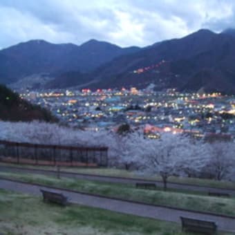 夜桜見物