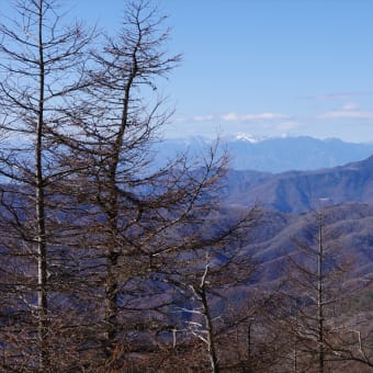 将監小屋ベースキャンプ一日目は青空が広がる竜喰山と大常木山と飛龍山