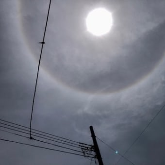 とらぷぅ💥情報＋天気6/6 世界大戦⁉️速報💦