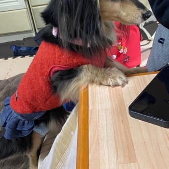 ケンちゃんまつりちゃん♪
