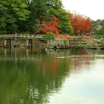 玄宮園　其の1　（2011年12月06日　火　薄曇り　EOS5D EF24-105mmF4ISL）