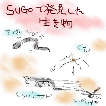 生き物SUGO紀行