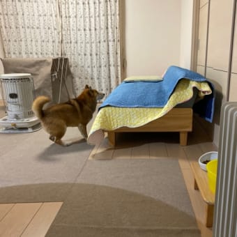 スイミングの仲間と新年会をしました