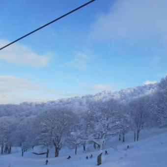 今日の山
