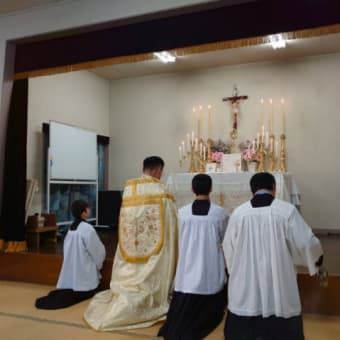 聖ピオ十世会の東京のミサの後では聖体降福式を行いました