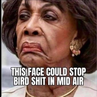 Ewww, Maxine Waters' Ugly Action Produces Bird Shit Stopping.  😀😃😄😁😆😅😂🤣😈🤡💩🐦🇺🇸