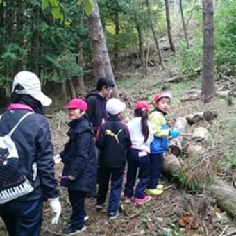 台風一過に、学校林活動！