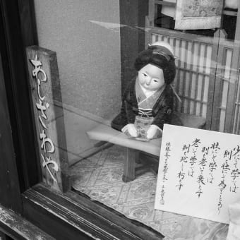 本日の写真