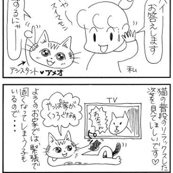 質問あるある♪