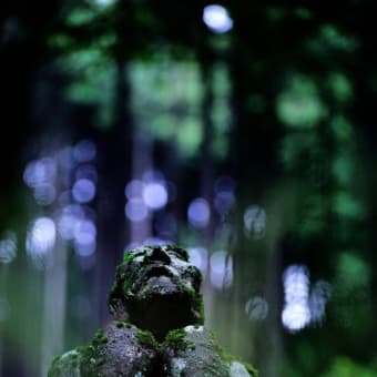 第２回「四木友の会」写真展（２０１７年）