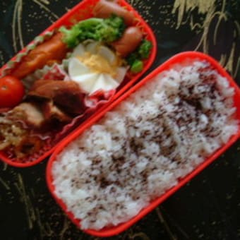 11月1日のお弁当♪