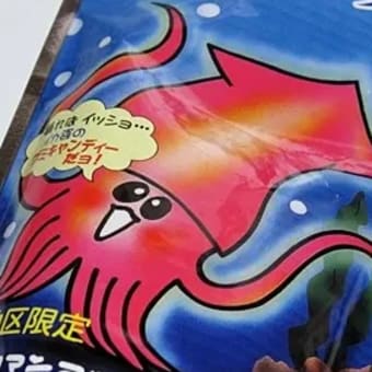 今日の１枚