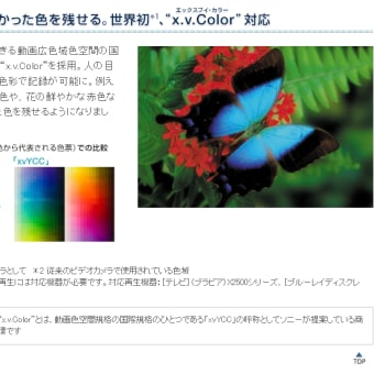 構造色と物体色　改稿