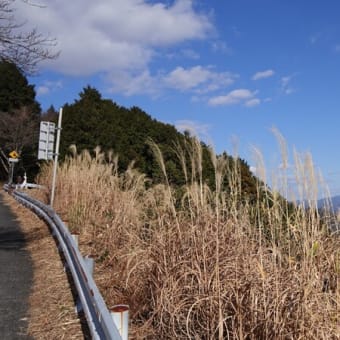 栗ヶ岳へ