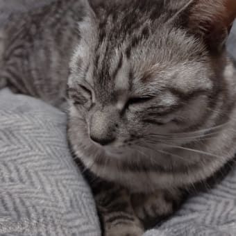 仕事を始めました