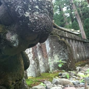 日光の思い出(ほぼ写真のみ)