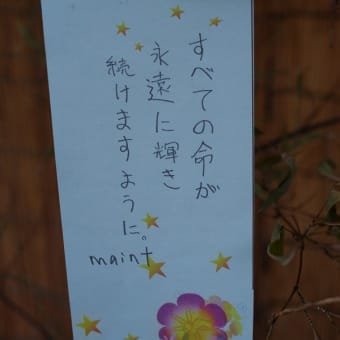 すべての命が永遠に輝き続けますように。