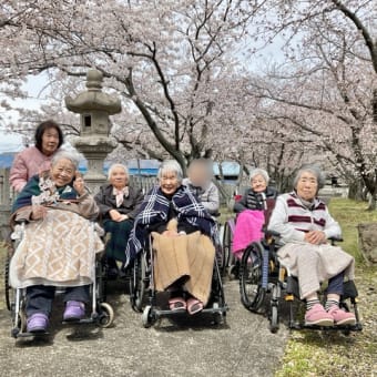 お花見に出かけました🌸