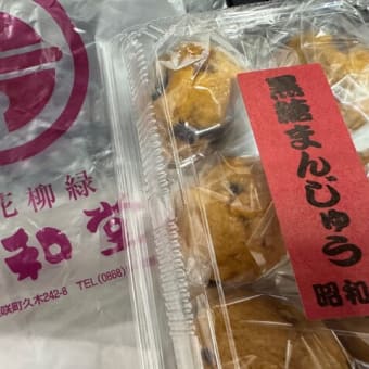 今日の桜・・満開