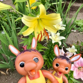 ロバくんと淡い色のゆりたち