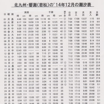 画像一覧 2ページ目 遊漁船業情報センター