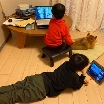 塩竈市って書けないわ｜コロ助と孫ちゃんたち