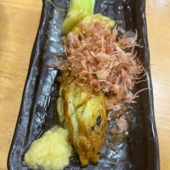 大相撲五月場所初日