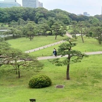 お薦め散歩：浜離宮恩賜庭園