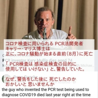 日本政府は知っていた【新型コロナは存在しない】PCR検査は感染症の【検査は出来ない】事を！テレビ新聞のコロナ感染報道は意図的洗脳報道！信じられない人は…大橋眞教授やPCR検査開発者の発言を！