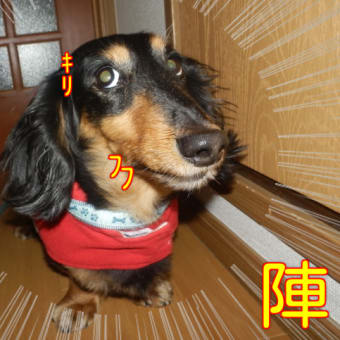 【日本の夜明けぜよ】と　夜明けをかけてみました(;^_^　汗