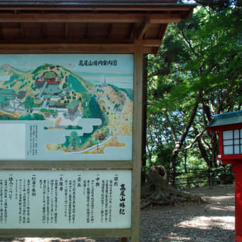 涼を求めて高尾山へ