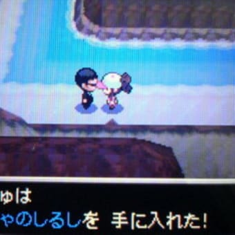 ポケモン ブラック ホワイト 13番道路で毎日貰えるアイテム Room Of Accyu