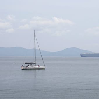 6月の水辺の風景