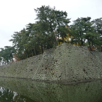 高虎の城・・っていうか石垣