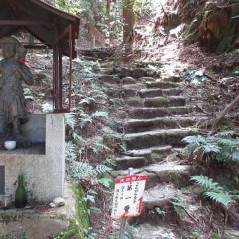 京都トレイル　一乗寺から比叡きらら坂へ　その1　2024年8月9日