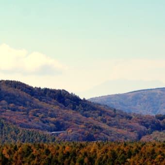 白樺高原　紅葉　2014  御獄山遠望