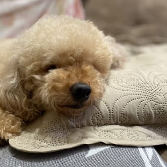 見えない敵は恐るべし