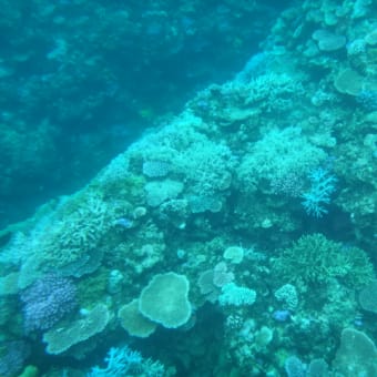 2016年8月17日　水曜日　西表島