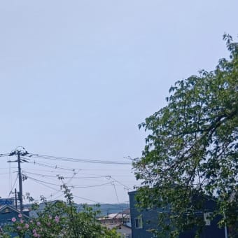 アルツGさん的雑想ノート